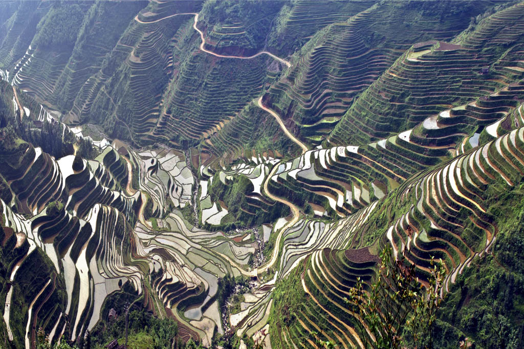 Congjiang Jiabang Terraced Fields